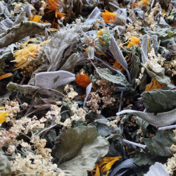 Tisane médicinale dArdèche AB