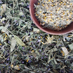 Tisane médicinale dArdèche AB