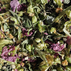 La lodolite - sommeil