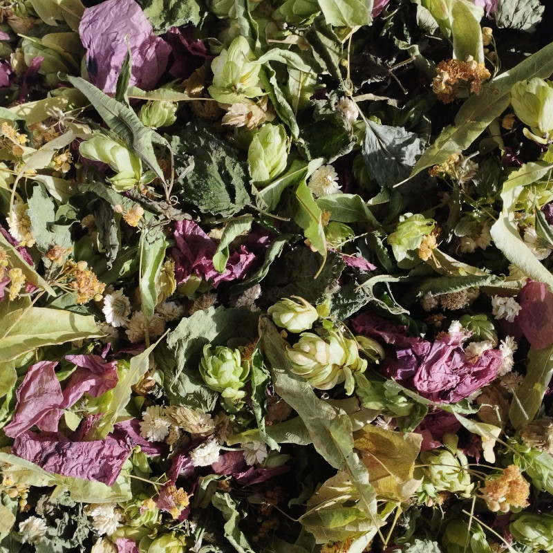 La lodolite - sommeil