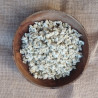 Camomille romaine