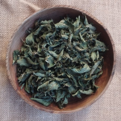 Menthe poivrée