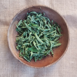 Verveine