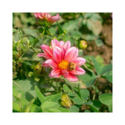 copy of copy of copy of copy of copy of copy of copy of copy of copy of copy of copy of copy of copy of copy of copy of copy of