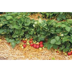 copy of copy of copy of copy of copy of copy of copy of copy of copy of copy of copy of copy of copy of copy of copy of copy of