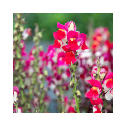 copy of copy of copy of copy of copy of copy of copy of copy of copy of copy of copy of copy of copy of copy of copy of copy of