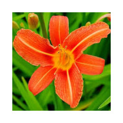 copy of copy of copy of copy of copy of copy of copy of copy of copy of copy of copy of copy of copy of copy of copy of copy of