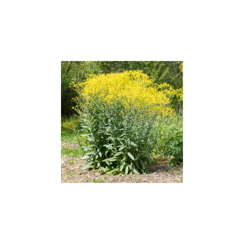 copy of copy of copy of copy of copy of copy of copy of copy of copy of copy of copy of copy of copy of copy of copy of copy of