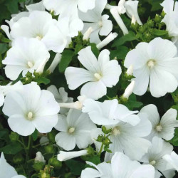 copy of copy of copy of copy of copy of copy of copy of copy of copy of copy of copy of copy of copy of copy of copy of copy of