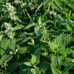 copy of copy of copy of copy of copy of copy of copy of copy of copy of copy of copy of copy of copy of copy of copy of copy of