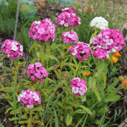 copy of copy of copy of copy of copy of copy of copy of copy of copy of copy of copy of copy of copy of copy of copy of copy of