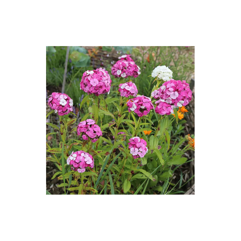 copy of copy of copy of copy of copy of copy of copy of copy of copy of copy of copy of copy of copy of copy of copy of copy of