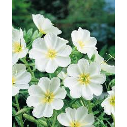 copy of copy of copy of copy of copy of copy of copy of copy of copy of copy of copy of copy of copy of copy of copy of copy of