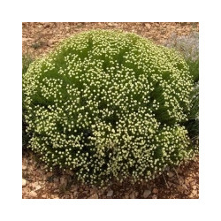 copy of copy of copy of copy of copy of copy of copy of copy of copy of copy of copy of copy of copy of copy of copy of copy of