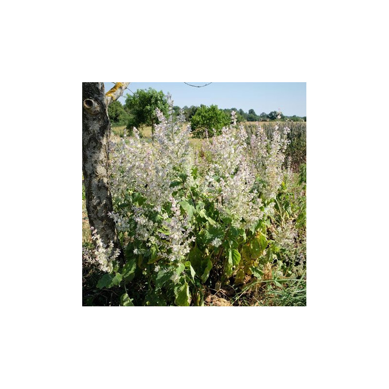 copy of copy of copy of copy of copy of copy of copy of copy of copy of copy of copy of copy of copy of copy of copy of copy of