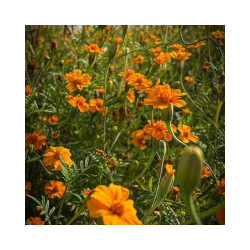 copy of copy of copy of copy of copy of copy of copy of copy of copy of copy of copy of copy of copy of copy of copy of copy of