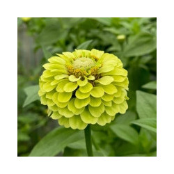 copy of copy of copy of copy of copy of copy of copy of copy of copy of copy of copy of copy of copy of copy of copy of copy of