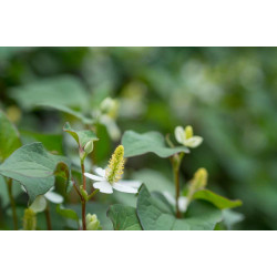 copy of copy of copy of copy of copy of copy of copy of copy of copy of copy of copy of copy of copy of copy of copy of copy of