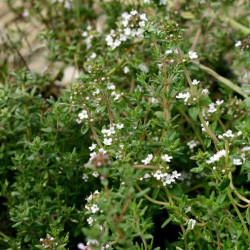 copy of copy of copy of copy of copy of copy of copy of copy of copy of copy of copy of copy of copy of copy of copy of copy of