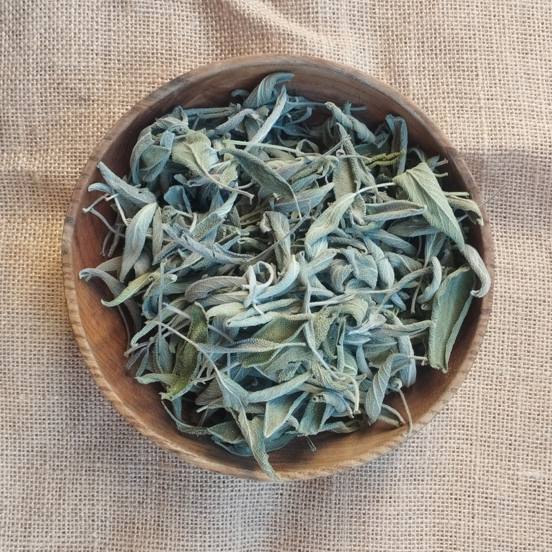 Sauge officinale